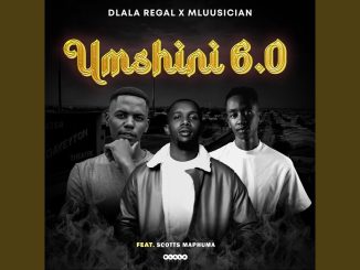 Dlala Regal & Mluusician - Umshini