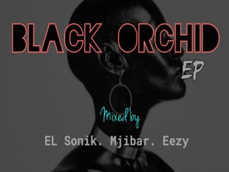 Eazy, El Sonik & Mjibar - African Suicide (Original Mix)