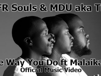 Mfr Souls & Mdu Aka Trp - The Way You Do | Ft. Malaika M