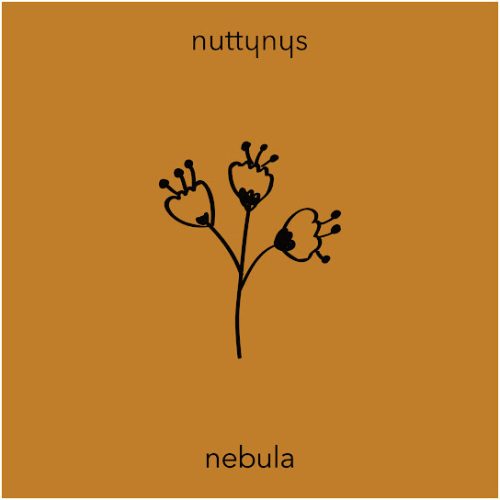 Nutty Nys - Nebula