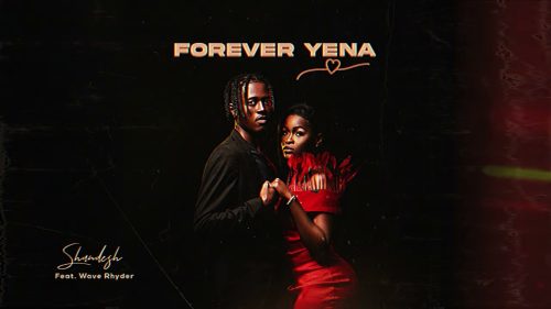 Shandesh - Forever Yena Ft. Wave Rhyder - Forever Yena Visualizer