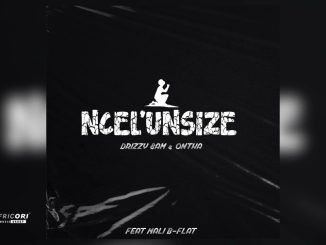 Drizzy Sam (Rsa) & Ontha - Ncel’Unsize Ft. Mali B-Flat]