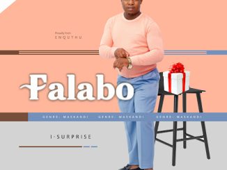 Falabo - Isurprise Ft. Sne Ntuli