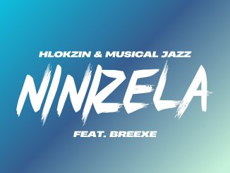 Hlokzin - Ninizela Ft. Breexe