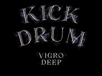 Vigro Deep – Kick Drum Ft. Junior Taurus