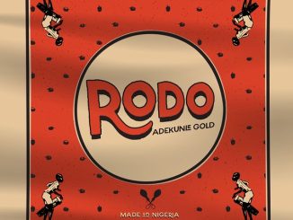 Adekunle Gold – Rodo