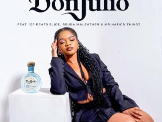 Bello - Don Julio Ft. Ice Beats Slide, Sbuda Maleather & Mr Nation Thingz