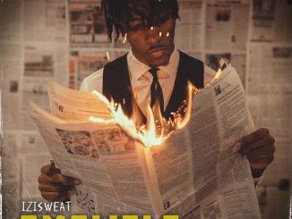 Isizweat - Amawele Ft. Tman Xpress & Leemckrazy