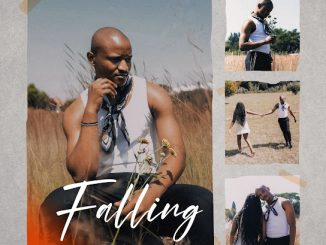 Leroyale - Falling Ft. Sino Msolo & Sfundo