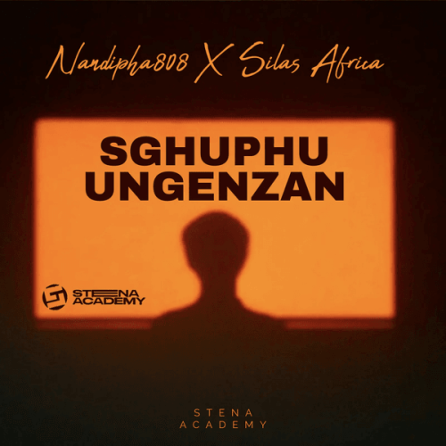 Nandipha808 - Sghuphu Ungenzan Ft. Silas Africa