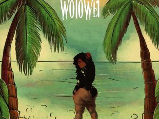 Quamina MP - Wotowei Ft. Kofi Mole