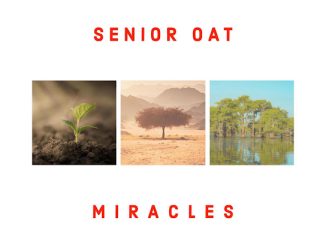 Senior Oat - Another Day (Prod. Mafadi Albert Mogale)