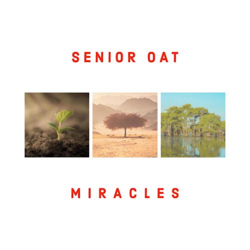 Senior Oat - Another Day (Prod. Mafadi Albert Mogale)