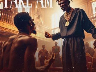 SHATTA WALE - Take Am