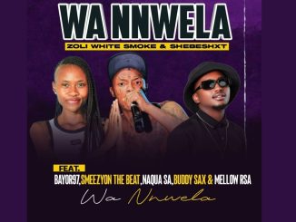 Shebeshxt - Wa Nnwela Ft. Naqua, Smeazy On The Beat, Buddy Sax & Mellow