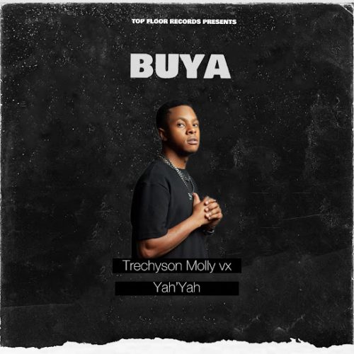 Trechyson Molly Vx - Buya