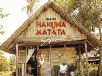 Marioo - Hakuna Matata Acoustic