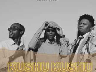 DJ Manzo SA - Kushu Kushu 3 Step Remix ft. Cheez Beezy & Tumisho