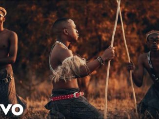 Kabza De Small - Kabza Chant Music Video Young Stunna, Nkosazana Daughter, Mthunzi Murumba…