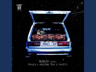 Njelic – Imali Ft. Mkeyz, Rhythm Tee & Luunineleven