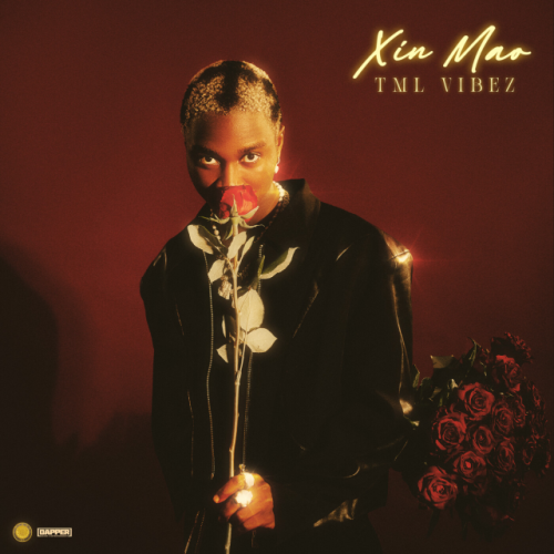 ALBUM: Tml Vibez – Xin Mao (Zip & Mp3)