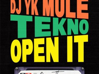 Dj Yk Mule - Open It