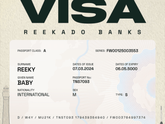 Reekado Banks - Visa