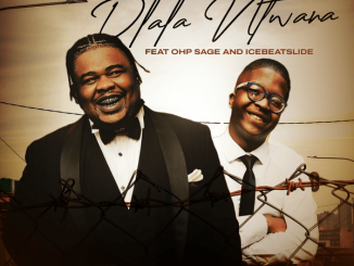 031Choppa - Dlala Ntwana ft. Djy Biza featuring OHP Sage, Ice Beats Slide & OHP Sage