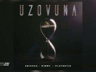 Abidoza - Uzovuna Ft. Playnevig