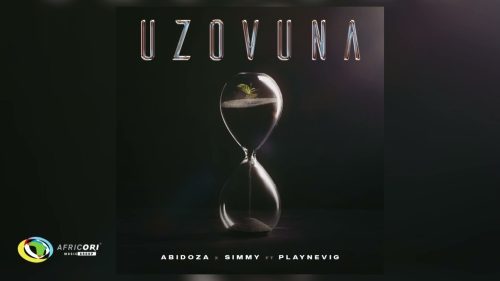 Abidoza - Uzovuna Ft. Playnevig