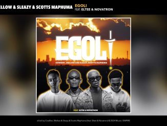 Cowboii, Mellow & Sleazy & Scotts Maphuma - Egoli Ft. Eltee & Novatron