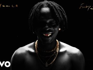 Fireboy DML – on's interlude