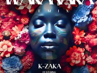 K-Zaka - Wakanaka (Remix) ft. Platform, Luigi Anywhere, Peeray, Tiaz Odia, PrayzzZ, Rald, Babyboy MDB, C Bryan & L.A Beatz