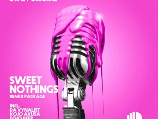 Lebzin - Sweet Nothings (Da Vynalist Remix) Ft. Dj Couza & Rhey Osborne