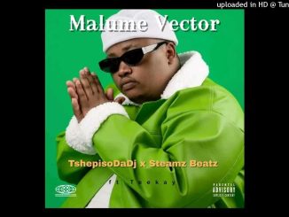 Tshepisodadj X Steamz Beatz - Tribute To Malume Vector Ft. Teekay