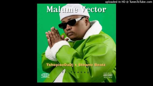 Tshepisodadj X Steamz Beatz - Tribute To Malume Vector Ft. Teekay