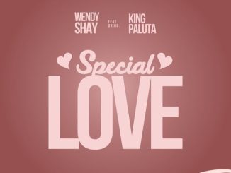 Wendy Shay - Special Love Ft. King Paluta