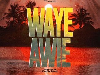 Kweku Darlington – Waye Awie