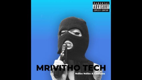 2souls (Ndibo Ndibs & Lowbass Djy) - Mrivitho Tech