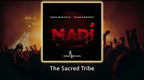 Aero Manyelo & Blaq Samurai – Madi