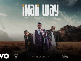 Aubrey Qwana – Imali Way Ft. Eeque, Leemckrazy & Mawelele & Makhosi