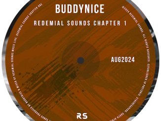 Buddynice - Crazy Me (Redemial Mix)