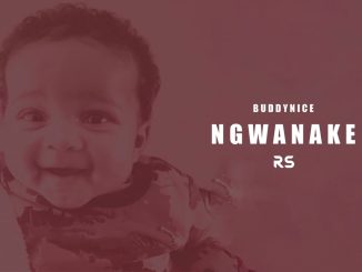 Buddynice - Ngwanake