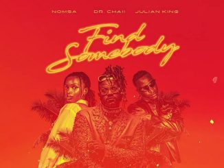 Dr. Chaii - Find Somebody Ft. Nomsa & Julian King