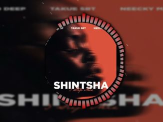 Echo Deep - Shintsha Ft. Takue Sbt & Neecky Matipa