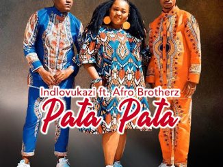 Indlovukazi - Pata Pata Ft. Afro Brotherz