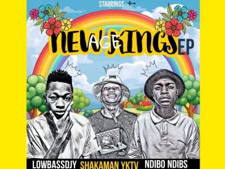 Lowbass Djy, Ndibo Ndibs, Shakaman Yktv - Reverse Ft. Rishbeats