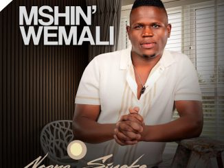 Mshinwemali - Into Yami Ft. Londeka Shangase