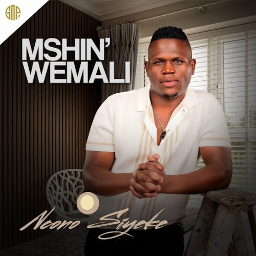 Mshinwemali - Into Yami Ft. Londeka Shangase