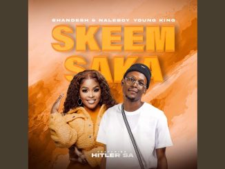 Shandesh & Naleboy Young King - Skeem Saka Ft. Hitler Sa